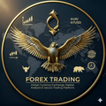  FX trading consultation and currency market expertise — Fidelity Consultations
